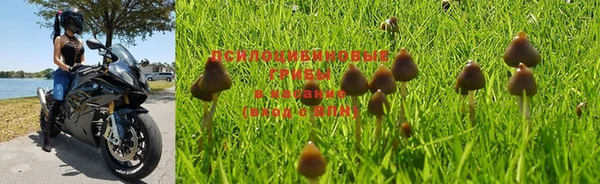 ешки Гусь-Хрустальный