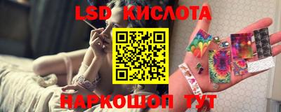 шишки Новозыбков