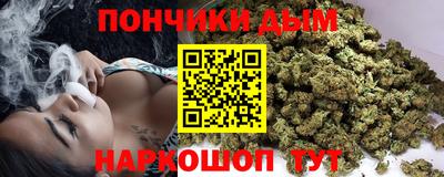 шишки Новозыбков
